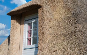 Ancrum thatch roof disadvantages
