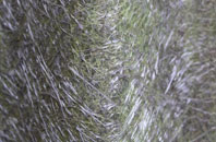 Ancrum fibreglass roof work